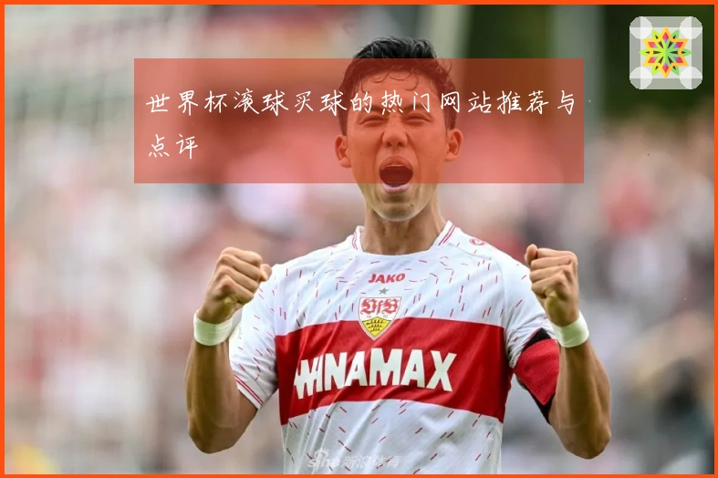 世界杯滚球买球的热门网站推荐与点评