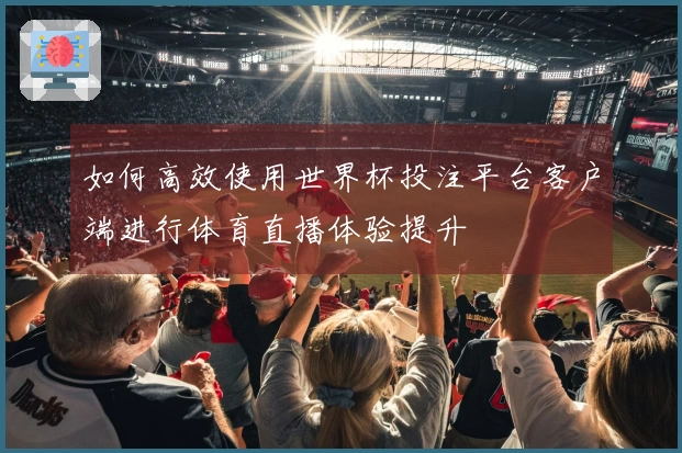 如何高效使用世界杯投注平台客户端进行体育直播体验提升