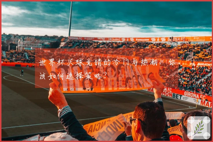 世界杯买球竞猜的冷门与热潮，你该如何选择策略？