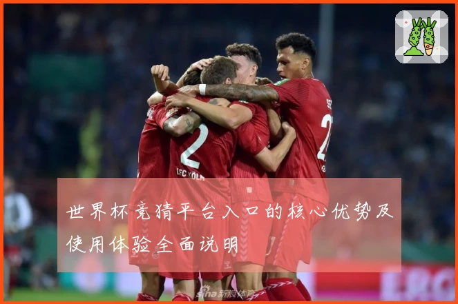 世界杯竞猜平台入口的核心优势及使用体验全面说明