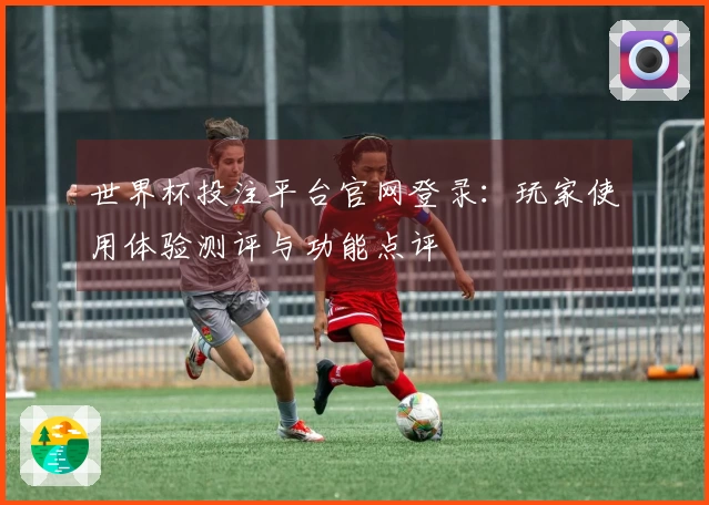 世界杯投注平台官网登录：玩家使用体验测评与功能点评
