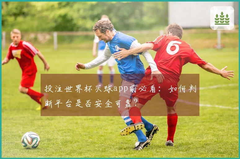 投注世界杯买球app前必看:如何判断平台是否安全可靠?