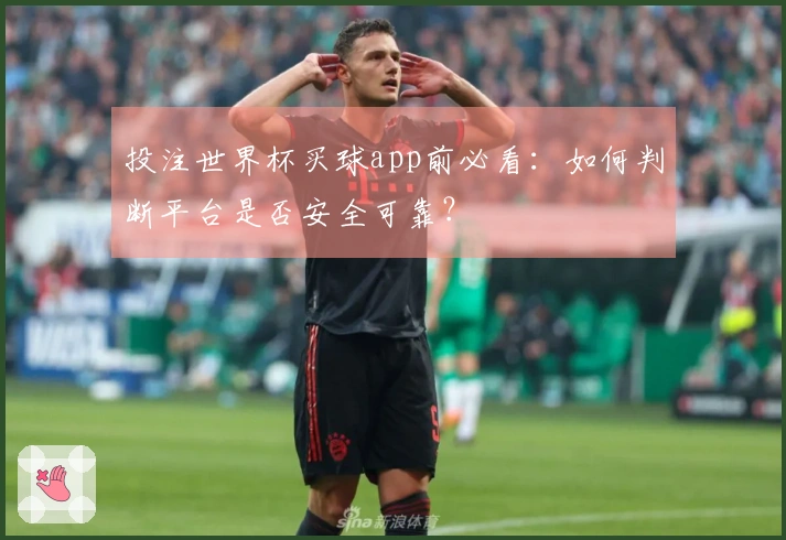 投注世界杯买球app前必看：如何判断平台是否安全可靠？
