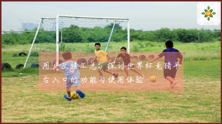 用户反馈汇总：探讨世界杯竞猜平台入口的功能与使用体验