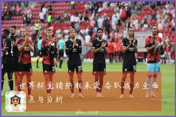 世界杯竞猜热潮来袭 各队战力全面盘点与分析