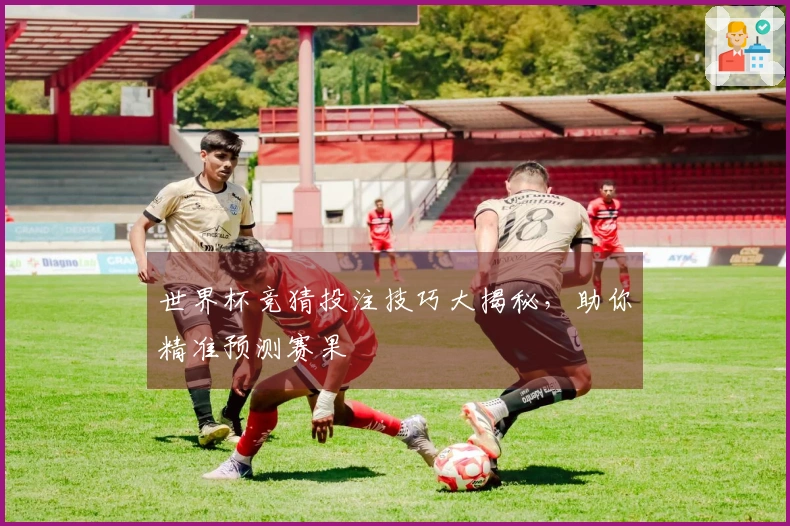 世界杯竞猜投注技巧大揭秘，助你精准预测赛果