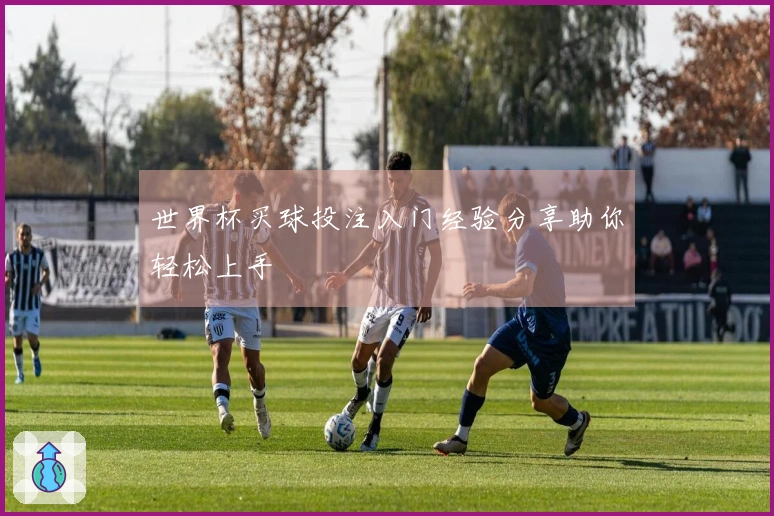 世界杯买球投注入门经验分享助你轻松上手