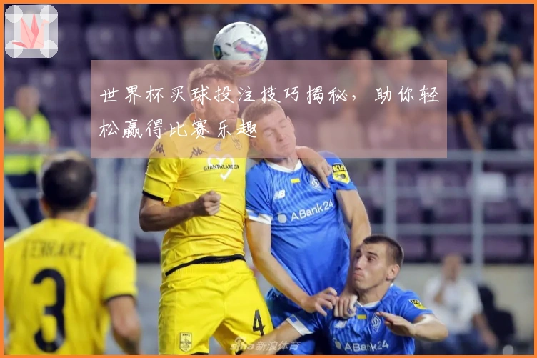 世界杯买球投注技巧揭秘，助你轻松赢得比赛乐趣