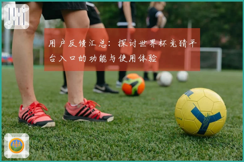 用户反馈汇总：探讨世界杯竞猜平台入口的功能与使用体验