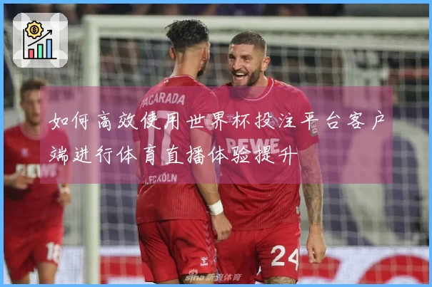 如何高效使用世界杯投注平台客户端进行体育直播体验提升