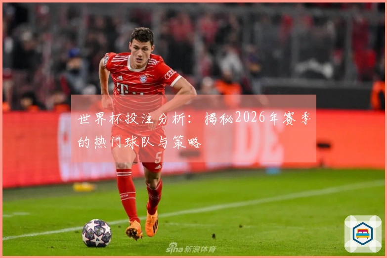 世界杯投注分析：揭秘2026年赛季的热门球队与策略