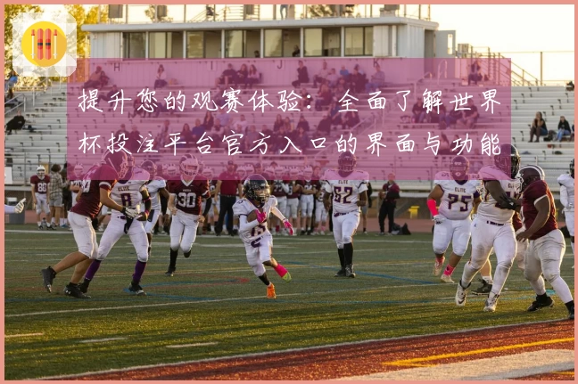 提升您的观赛体验：全面了解世界杯投注平台官方入口的界面与功能使用指南