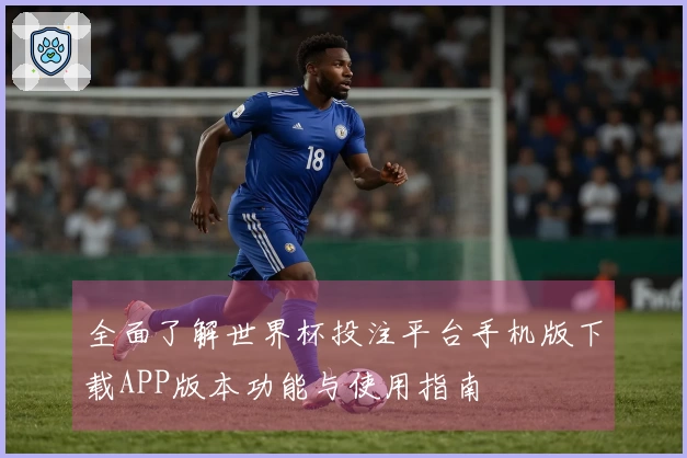 全面了解世界杯投注平台手机版下载APP版本功能与使用指南