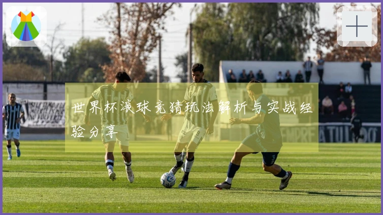 世界杯滚球竞猜玩法解析与实战经验分享
